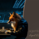 Abwehr eines Hackerangriffs auf einer Wordpress-Website, Spirituelles Webdesign