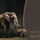 Bilder für die Website oder Social Media hoch skalieren, Spirituelles Webdesign
