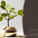 Wir prüfen Ihre Website kostenfrei, Spirituelles Webdesign